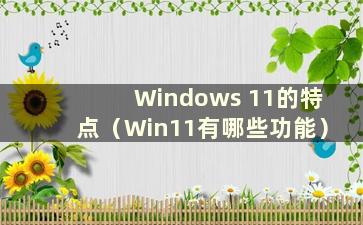 Windows 11的特点（Win11有哪些功能）